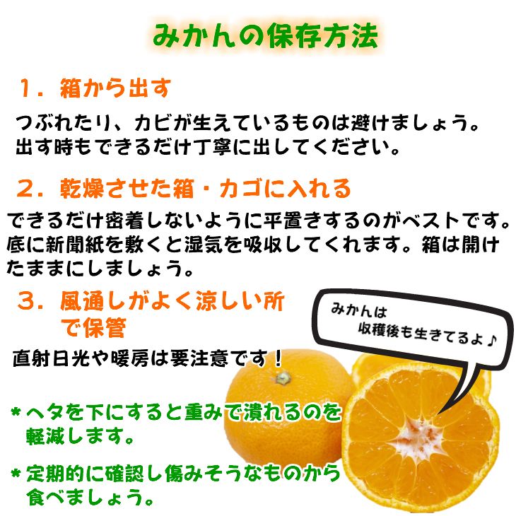 【ふるさと納税】【限定】【2025年先行予約】 高評価★4.42 有田みかん 約 5kg Sサイズ Mサイズ サイズ おまかせ 和歌山県 期間限定 小玉 みかん 特秀品 厳選 高糖度 温州みかん 柑橘 果物 フルーツ 甘い 香り 程よい酸味 お取り寄せ 湯浅町 送料無料 サムネイル3