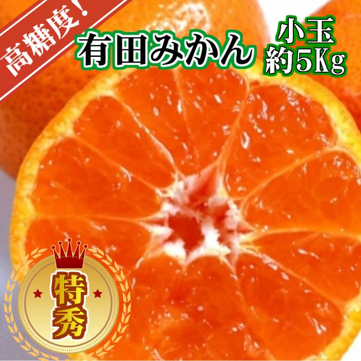 【限定】【2025年先行予約】 高評価★4.42 有田みかん 約 5kg Sサイズ Mサイズ サイズ おまかせ 和歌山県 期間限定 小玉 みかん 特秀品 厳選 高糖度 温州みかん 柑橘 果物 フルーツ 甘い 香り 程よい酸味 お取り寄せ 湯浅町 送料無料