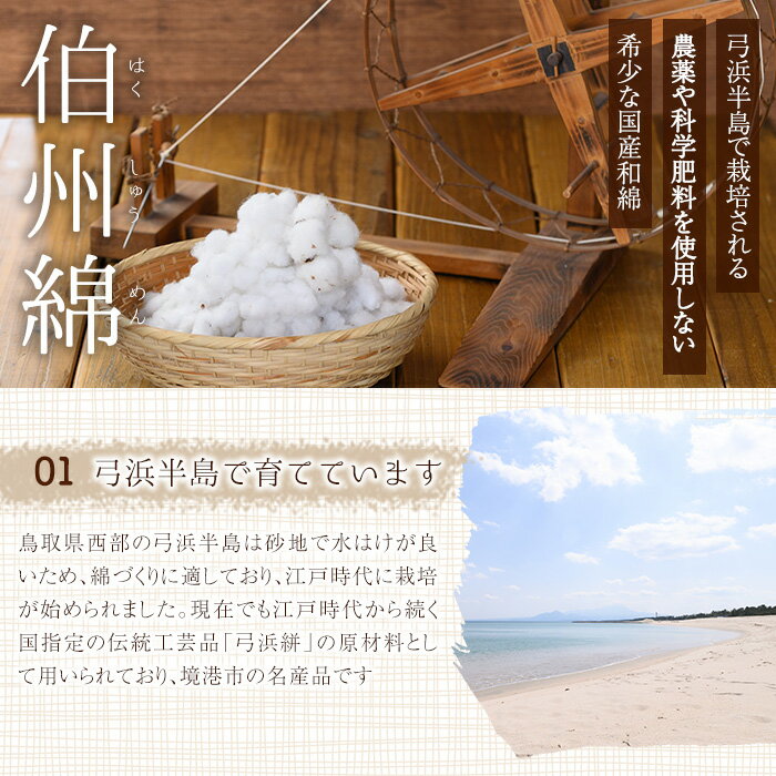 【ふるさと納税】＜選べるお品＞伯州綿ネックレス(1本)鳥取県 境港市 伯州綿 ネックレス アクセサリー ガラス ガラスドーム ファッション 小物 雑貨 【sm-BC004】【浜っ子】 サムネイル3
