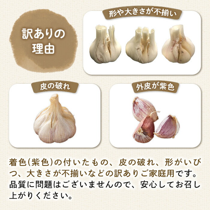 【ふるさと納税】＜先行予約！2026年5月上旬以降順次発送予定＞＜訳あり・家庭用＞香川県産 生にんにく(約2kg) 国産 野菜 ニンニク 生ニンニク 大蒜 薬味 産地直送 【man068】【Aglio nero】 - 画像3
