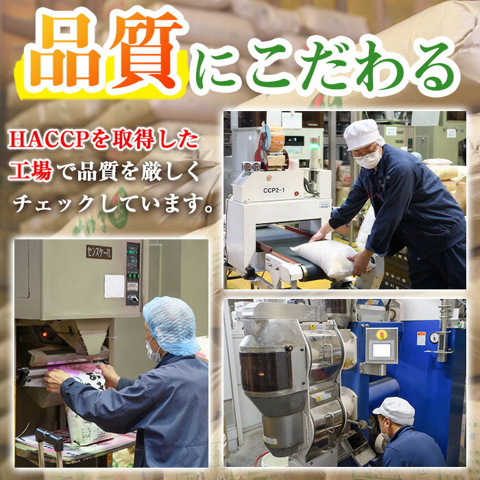 【ふるさと納税】＜令和7年産＞香川県まんのう町産 コシヒカリ(5kg)国産 お米 こしひかり ご飯 白米 ライス【man027】【香川県食糧事業協同組合】 - 画像3
