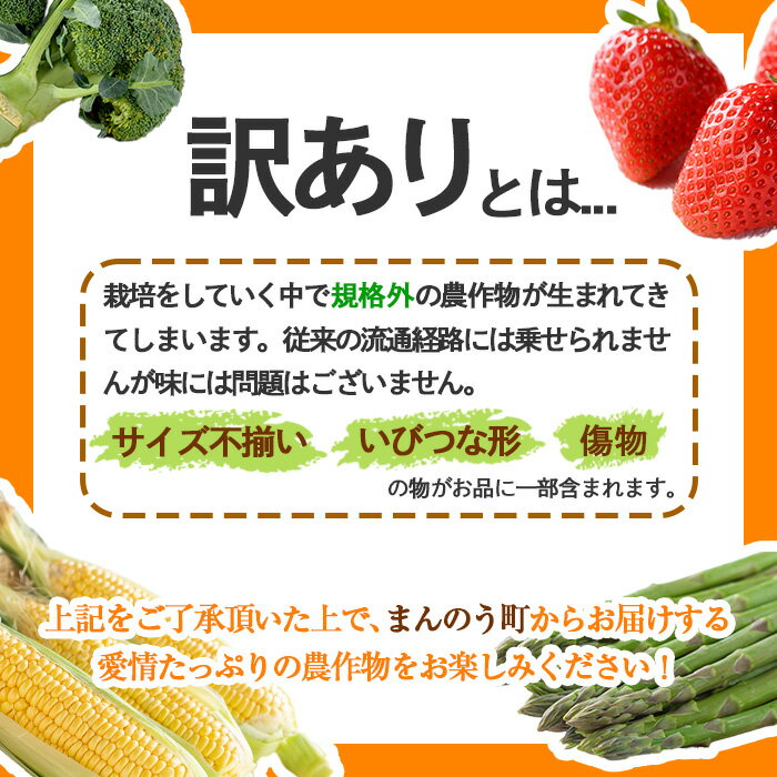 【ふるさと納税】＜先行予約！2025年11月下旬以降順次発送予定＞＜訳あり・家庭用＞＜選べるサイズ＞香川県産 小原紅早生みかん(約5kg/小玉・大玉)国産 果物 果実 くだもの フルーツ みかん 蜜柑 ミニ 小さい 傷あり 【man089】【Aglio nero】 サムネイル2