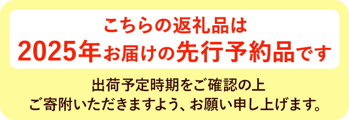 【ふるさと納税】＜期間限定！2025年10月中旬以降順次発送予定＞＜選べる容量＞香川県産 さぬきゴールドキウイ(約1kg・約3kg) キウイ ゴールドキウイ ブランド フルーツ 産地直送 新鮮 香川 香川県 特産 果物 ふるーつ 旬 人気 お取り寄せ【man063】【Aglio nero】 サムネイル2