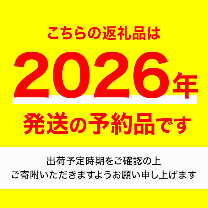 【ふるさと納税】＜先行予約！2026年3月下旬以降順次発送予定＞＜訳あり＞＜選べる容量＞香川県産 さぬきひめいちご(約500g・約1kg)国産 果物 くだもの 苺 イチゴ フルーツ 産地直送 新鮮 冷蔵便 【man106・man107】【Aglio nero】 サムネイル2