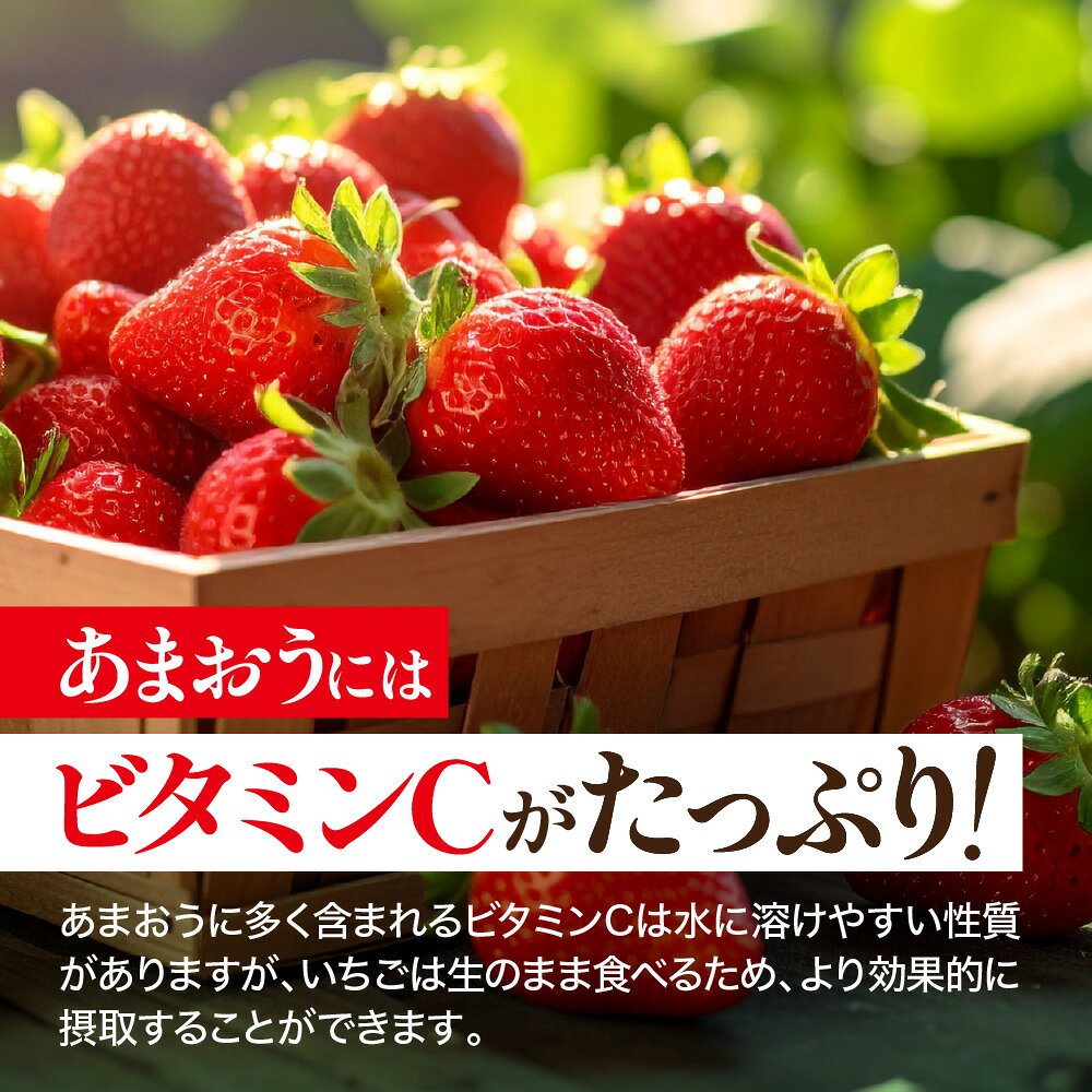 【ふるさと納税】＜予約受付中！2026年1月上旬より順次発送予定＞福岡県産 あまおう(計約560g・280g×2P) 苺 いちご イチゴ 果物 フルーツ 国産 福岡県 ヨーグルト ジャム スムージー 冷蔵 ONEGO ＜離島配送不可＞【ksg1804】【ONEGO】 サムネイル2