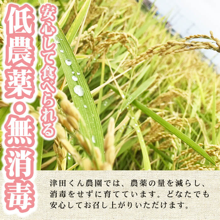 【ふるさと納税】＜容量が選べる・先行予約受付中！2025年10月から2026年4月末にかけて順次発送予定＞津田くん農園の夢つくし(5〜30kg) お米 白米 5キロ 10キロ 30キロ ごはん ご飯 【ksg1327・ksg1328・ksg1329】【くしだ企画】 - 画像3