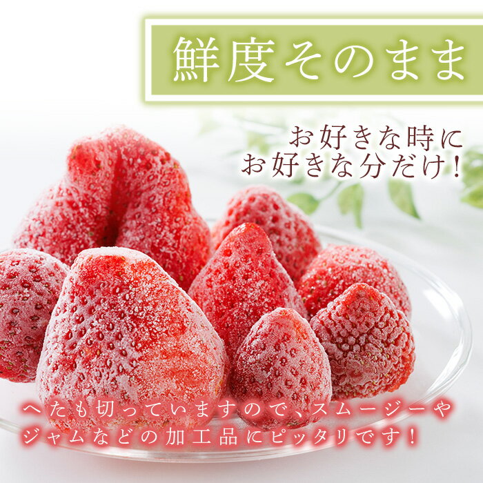 【ふるさと納税】＜容量が選べる＞冷凍 博多あまおう (計約1.6kg〜4kg) いちご イチゴ 苺 あまおう 冷凍いちご 冷凍イチゴ 国産 福岡県 果物 フルーツ アイス シャーベット ジャム スムージー 冷凍フルーツ ＜離島配送不可＞【ksg1744・ksg1745】【農産物直売所ほたるの里】 サムネイル3