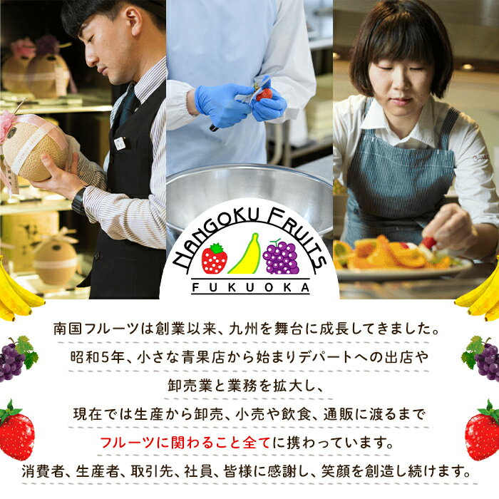 【ふるさと納税】＜先行予約受付中！2026年4月より順次発送・容量を選べる＞冷凍あまおう苺(計約1kg or 2kg) いちご イチゴ 冷凍 シャーベット 冷凍いちご ヨーグルト ジャム ＜離島配送不可＞【ksg0046・ksg0065】【南国フルーツ】 サムネイル2