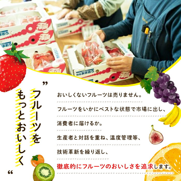 【ふるさと納税】＜先行予約受付中！2026年4月より順次発送・容量を選べる＞冷凍あまおう苺(計約1kg or 2kg) いちご イチゴ 冷凍 シャーベット 冷凍いちご ヨーグルト ジャム ＜離島配送不可＞【ksg0046・ksg0065】【南国フルーツ】 サムネイル3