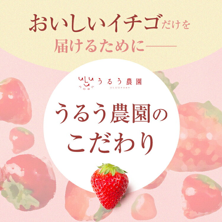 【ふるさと納税】＼高評価★満足度90％以上 ／ 冷凍あまおう (計2kg・1kg×2袋) いちご イチゴ 苺 冷凍いちご 特別栽培 果物 フルーツ アイス ＜離島配送不可＞【ksg0438】【うるう農園】 サムネイル2