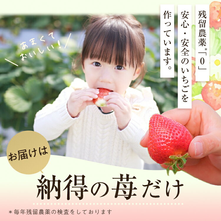 【ふるさと納税】＼高評価★満足度90％以上 ／ ＜予約受付中！2026年2月より順次発送＞ 冷凍あまおう (計2kg・1kg×2袋) いちご イチゴ 苺 あまおう 冷凍いちご 冷凍イチゴ 国産 福岡県 果物 フルーツ アイス 冷凍フルーツ ＜離島配送不可＞【ksg0438】【うるう農園】 - 画像3