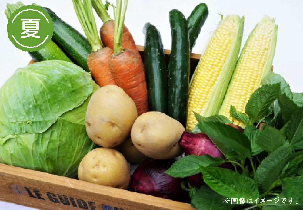 【ふるさと納税】【年6回偶数月定期便】穫れたて! 旬の野菜・果物 定期便 冷蔵 あんずの里 10品目×6回 野菜 果物 フルーツ 春 旬 セット 詰め合わせ 福岡県産 九州産 国産 送料無料 [G7011] サムネイル3