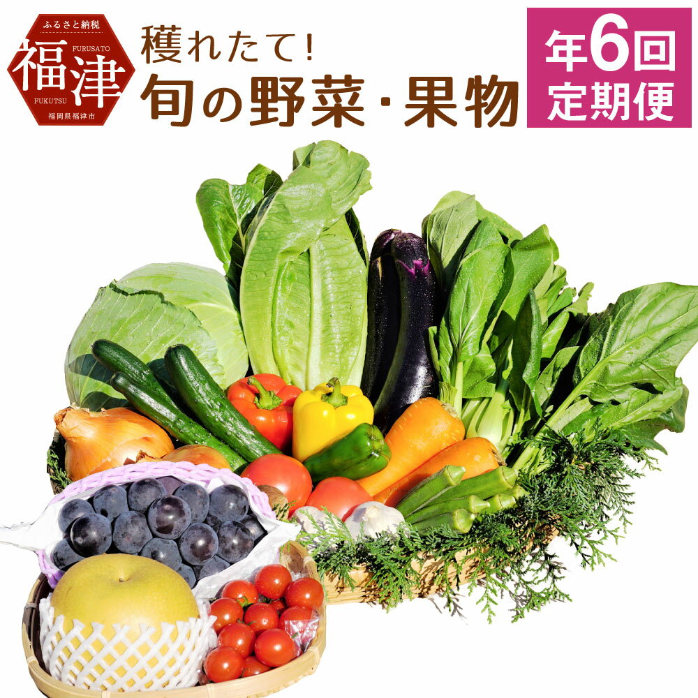 【年6回偶数月定期便】穫れたて! 旬の野菜・果物 定期便 冷蔵 あんずの里 10品目×6回 野菜 果物 フルーツ 春 旬 セット 詰め合わせ 福岡県産 九州産 国産 送料無料 [G7011]