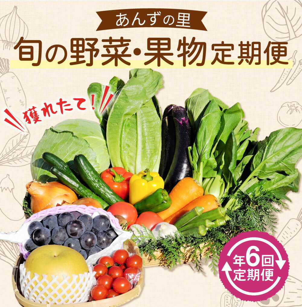 【ふるさと納税】【年6回偶数月定期便】穫れたて! 旬の野菜・果物 定期便 冷蔵 あんずの里 10品目×6回 野菜 果物 フルーツ 春 旬 セット 詰め合わせ 福岡県産 九州産 国産 送料無料 [G7011] サムネイル2