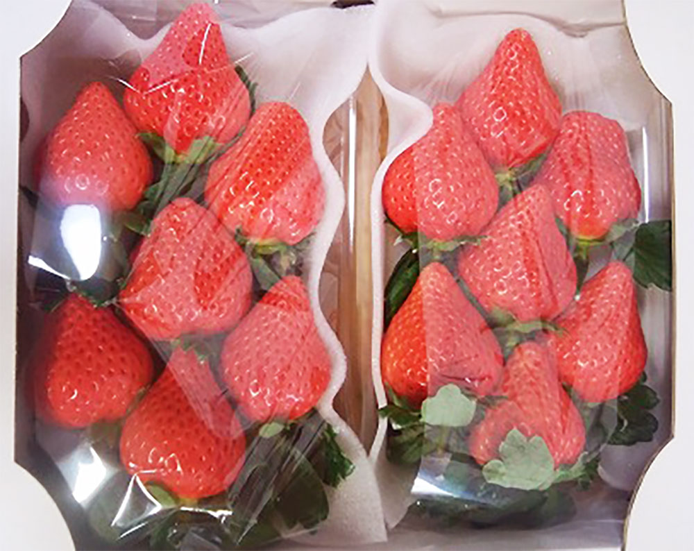 【ふるさと納税】高級いちご おおきみ 約300g×2パック 計約600g 青谷ふぁーむ イチゴ いちご 苺 果物 くだもの フルーツ おおきみいちご 冷蔵 福津市 福岡県産 九州産 国産 送料無料【2025年12月より順次発送】 [F4134] サムネイル2