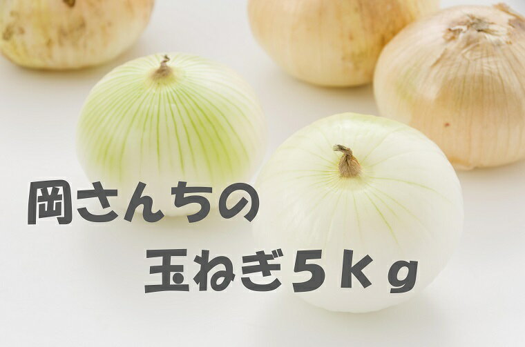 佐賀県みやき町岡さんちのたまねぎ5kg 「2L、3Lサイズ」 (BE030)