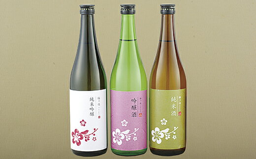 【ふるさと納税】【日本酒 飲み比べ 720ml×3本セット】純米吟醸 吟醸 純米酒 辛口 中口 セット 華やか&やや辛口 女性にも人気 地酒 飲み比べ 宅飲み 清酒 梅ヶ枝酒造 送料無料 長崎県 佐世保市 サムネイル2