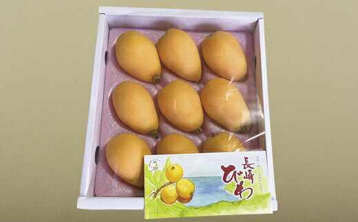 【ふるさと納税】長崎温室栽培びわ(2L・Lサイズ500g) サムネイル2