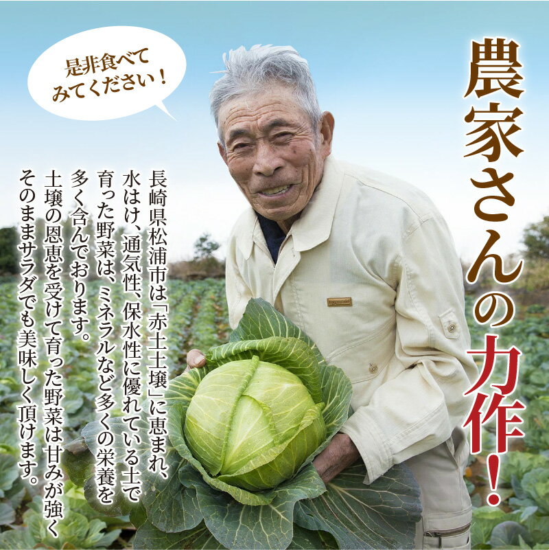 【ふるさと納税】【新鮮やさいと卵の人気セット】道の駅松浦海のふるさと館『旬のお野菜＋産みたて濃厚玉子6個』の大満足セット！【A8-039】ふるさと納税 野菜 ふるさと納税 やさい 詰め合わせ 野菜セット 旬 玉子 卵 季節 サラダ 新鮮 産地直送 セット サムネイル3