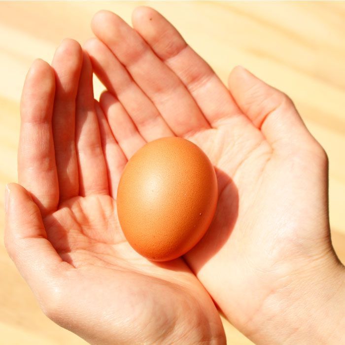 【ふるさと納税】【全3回定期便(月1回)】【栄養満点！】ニンニク卵黄 自然栽培 【浅田峠自然塾】 [EA10] - 画像3