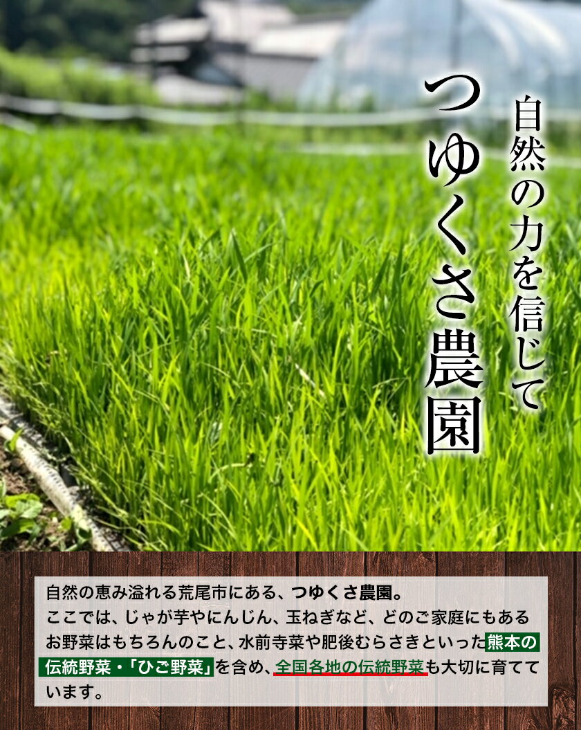 【ふるさと納税】 米 雑穀米 (赤米/黒米/緑米) 900g ブレンド 和食 熊本県 荒尾市産 つゆくさ農園 米 《30日以内に出荷予定(土日祝除く)》 - 画像3