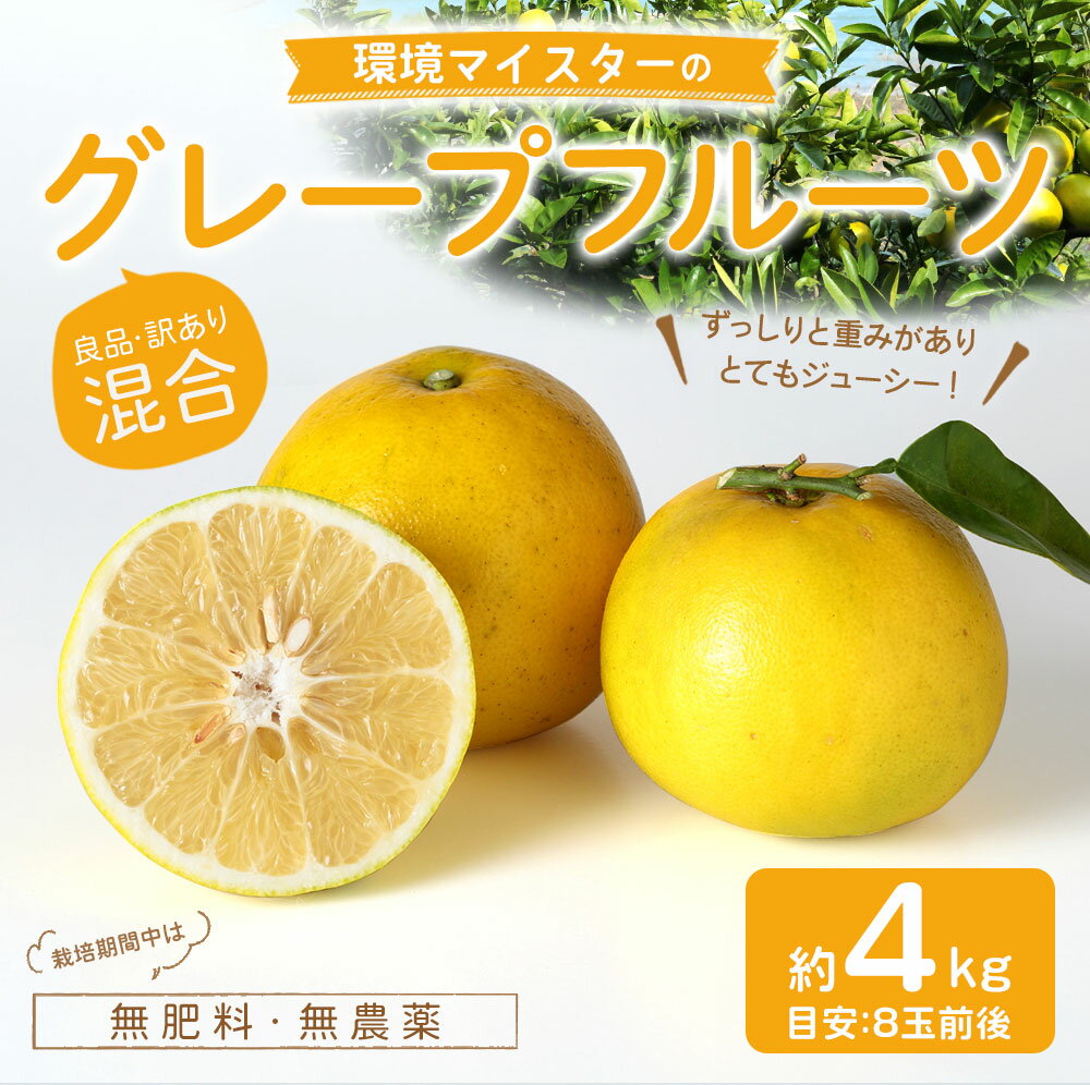 【ふるさと納税】環境マイスターのグレープフルーツ 良品 訳あり 混合 約4kg 8玉前後 栽培期間中 無肥料 無農薬 グレープフルーツ フルーツ 果物 国産 九州産 熊本県産 冷蔵 送料無料【2026年3月下旬‐5月下旬迄順次発送予定】 サムネイル2