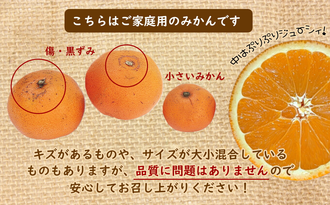 【ふるさと納税】 訳あり 熊本県産 温州みかん 約 9kg +約 0.5kg (補償分） | 果物 くだもの フルーツ 柑橘 柑橘類 みかん 温州 家庭用 9キロ 大量 みかん 玉名 熊本 送料無料 サムネイル3