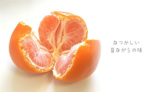 【ふるさと納税】 訳あり 熊本県産 温州みかん 約 9kg +約 0.5kg (補償分） | 果物 くだもの フルーツ 柑橘 柑橘類 みかん 温州 家庭用 9キロ 大量 みかん 玉名 熊本 送料無料 サムネイル2