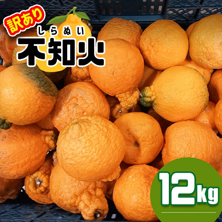 訳あり 不知火 12kg | 果物 フルーツ みかん デコポン デコみかん ミカン 柑橘 みかん 産地直送 家庭用 大小混合 キズあり 玉名 熊本 送料無料