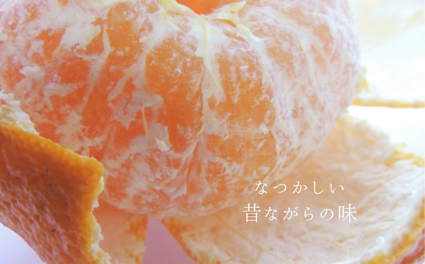 【ふるさと納税】不知火 特選 8kg | しらぬい みかん 8キロ 送料無料 熊本県 玉名市 サムネイル3