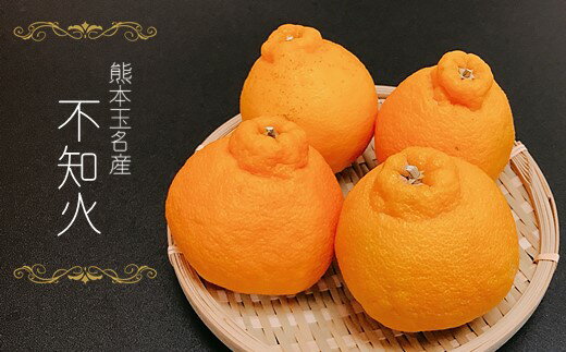 【ふるさと納税】贈答用 不知火 みかん 桐箱 くまモン オリジナル 約2.8キロ | 果物 くだもの フルーツ 柑橘 柑橘類 みかん生産者直送 産地直送 玉名 熊本 約2.8kg　送料無料 サムネイル3