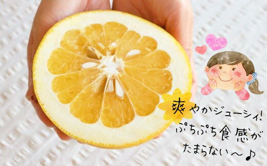 【ふるさと納税】訳あり 河内晩柑 4kg 7kg 13kg 後藤農園 | 柑橘 みかん フルーツ 家庭用 和製 グレープフルーツ 果物 熊本県産 ジューシーオレンジ 初夏 熊本県 玉名市 4キロ 7キロ 13キロ 送料無料 サムネイル2