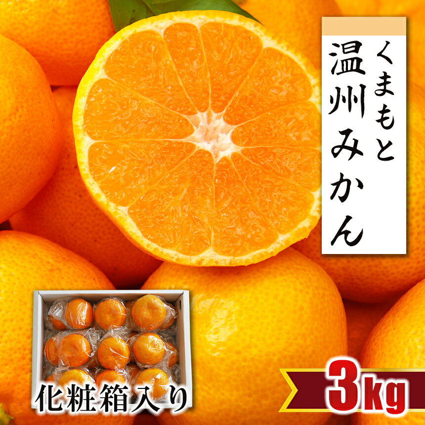 贈答用 みかん 約3kg 化粧箱 温州みかん 秀品 専用箱 オリジナル 約3キロ 生産者直送 産地直送 玉名 熊本 送料無料
