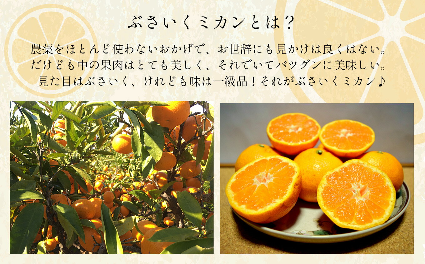 【ふるさと納税】みかん 温州みかん 家庭用 ぶさいくミカン 減農薬 3kg 3キロ 玉名 熊本 送料無料 サムネイル2