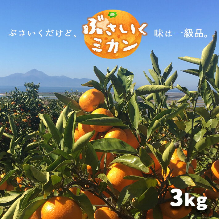 みかん 温州みかん 家庭用 ぶさいくミカン 減農薬 3kg 3キロ 玉名 熊本 送料無料