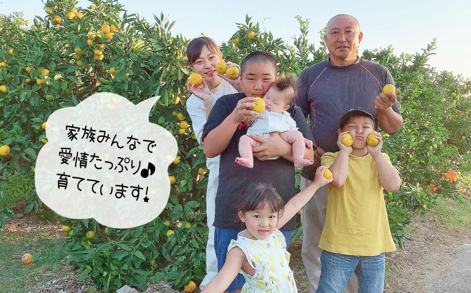 【ふるさと納税】みかん 盛田みかん 3kg 盛田温州 村上農園 数量限定 大小混合 産地直送 生産者直送 希少品種 減農薬 薄皮 玉名 熊本 送料無料 サムネイル3