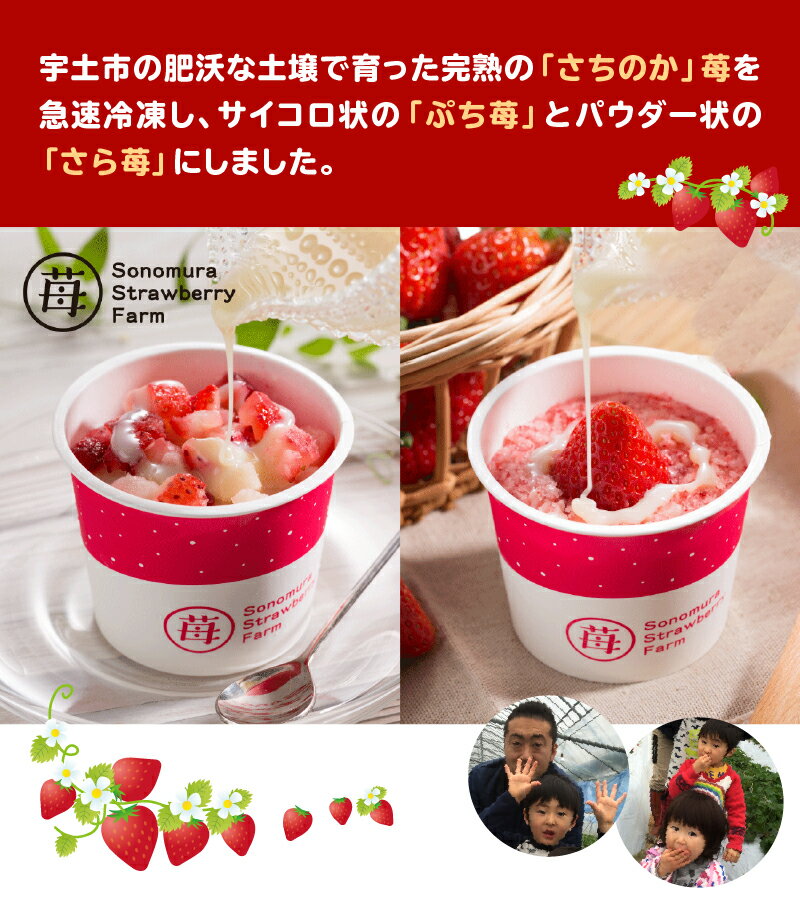 【ふるさと納税】園村苺園 宇土産 完熟冷凍いちご「ぷち苺」と「さら苺」各6カップ　練乳付き【熊本県宇土市】 サムネイル3