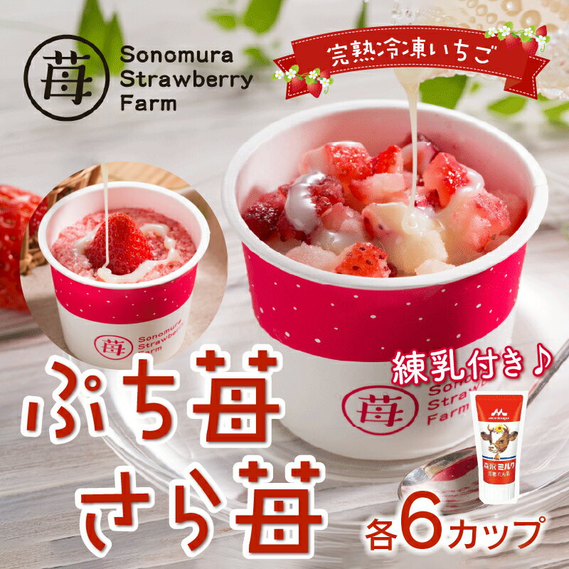 【ふるさと納税】園村苺園 宇土産 完熟冷凍いちご「ぷち苺」と「さら苺」各6カップ　練乳付き【熊本県宇土市】 サムネイル2