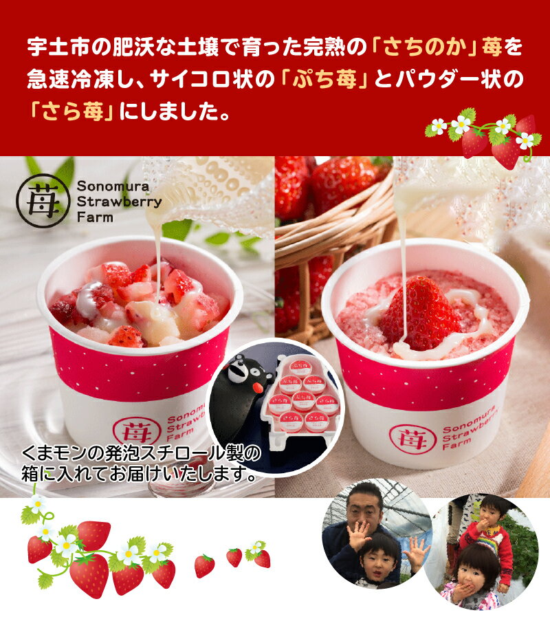【ふるさと納税】園村苺園 完熟冷凍いちご！「ぷち苺」と「さら苺」各4カップ　練乳付き くまモンの箱入り【熊本県宇土市】 サムネイル3