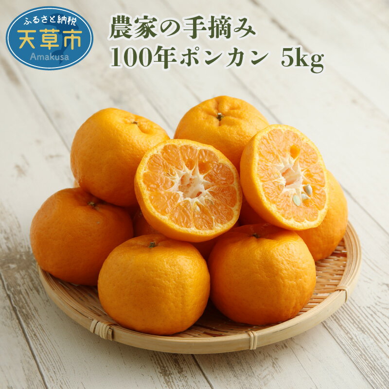 柑橘 ポンカン 約 5kg 早生 果物 フルーツ 手摘み 濃厚 高糖度 100年ぽんかん ギフト 予約受付