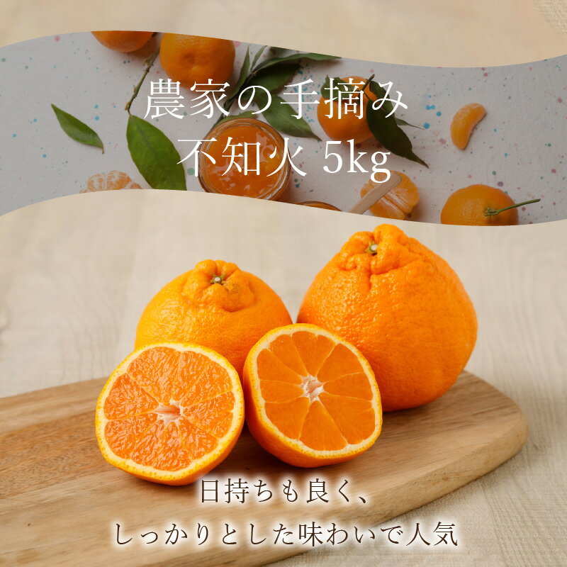 【ふるさと納税】先行予約 柑橘 不知火 約 5kg 選べる 発送時期 果物 フルーツ 農家 手摘み 家庭用 大小ミックス サイズ 日持ちが良い しっかりとした味わい 果実 皮が剥きやすい 薄皮 柔らかい みかん 食品 食べ物 熊本県 天草市 お取り寄せ お取り寄せフルーツ 送料無料 サムネイル2