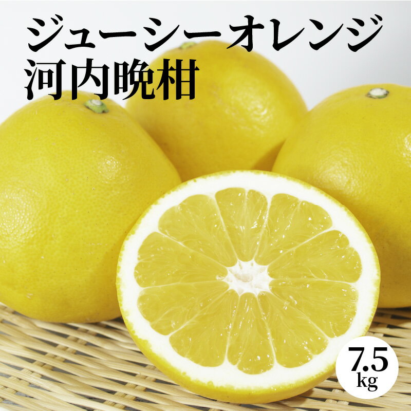 【ふるさと納税】【先行予約】晩柑 7.5kg オレンジ 和製 グレープフルーツ ジューシーオレンジ 柑橘 フルーツ 果物 果汁 爽やか みずみずしい 熊本県 天草 お取り寄せ お取り寄せグルメ お土産 送料無料 食べ物 常温 河内晩柑 サムネイル2
