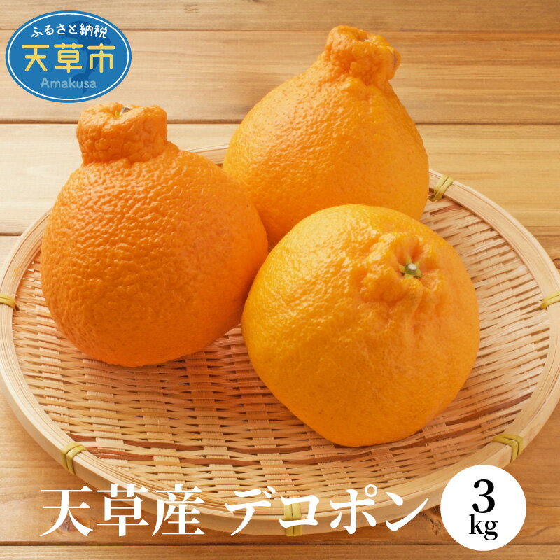 先行予約 デコポン 天草産 3kg JA 本渡五和 みかん選果場 旬 国産 ジューシー 甘い 味わい 高糖度 多果汁 みかん フルーツ 果物 デザート 柑橘 柑橘類 常温 食べ物 九州 熊本県産 九州産 お取り寄せ お取り寄せフルーツ 熊本県 天草市 送料無料