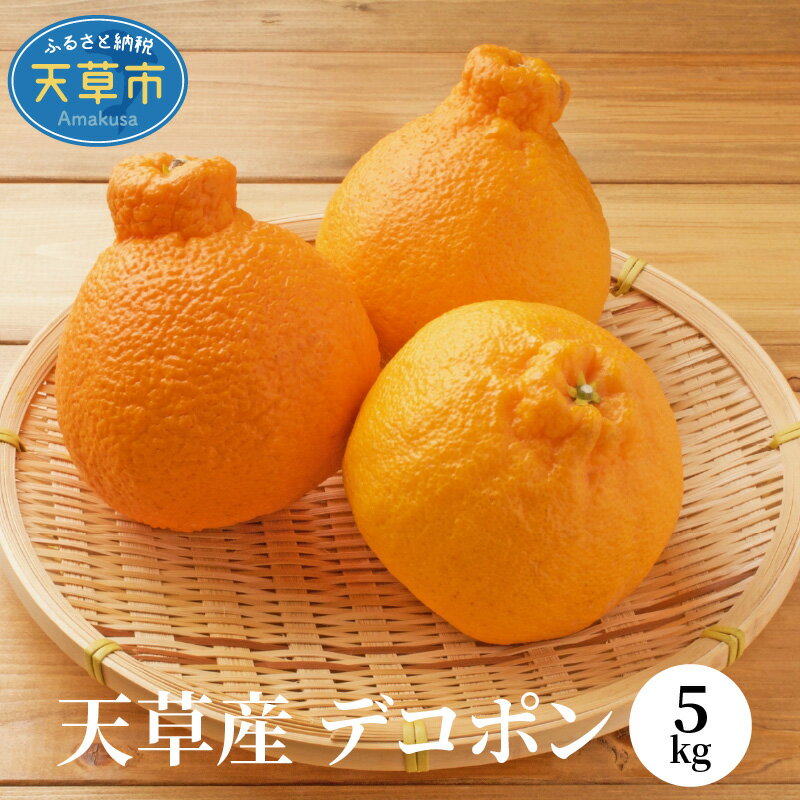 先行予約 天草産 デコポン 5kg JA 本渡五和 みかん選果場 ジューシー 高糖度 多果汁 しっかりとした味わい 柑橘 果物 フルーツ 国産 みかん デザート 果実 食品 食べ物 旬 常温 九州 熊本県 天草市 お取り寄せ お取り寄せフルーツ 送料無料