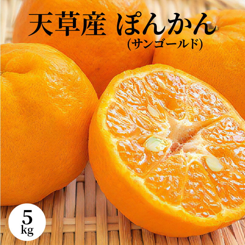 【ふるさと納税】柑橘 ぽんかん 5kg サンゴールド 果物 フルーツ みかん ミカン 天草 先行予約 サムネイル2