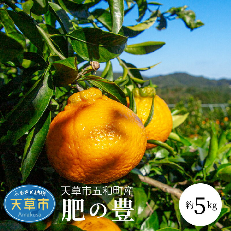 先行予約 オリジナル 柑橘 みかん 約 5kg 大小混合 不知火 五和町産 肥の豊 糖度と酸味のバランスが良い 栽培期間中 除草剤不使用 果物 フルーツ 国産 果実 デコポン 熟成 柑橘類 食品 特産品 お取り寄せ お取り寄せフルーツ 九州 熊本県 天草市 送料無料