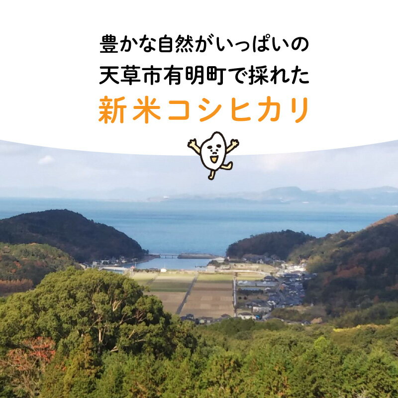 【ふるさと納税】先行予約 新米 令和8年産 コシヒカリ 6kg 精米 3kg × 2袋 単一原料米 国産 天草産 先行受付 小分け 冷蔵庫 保存可能 便利 米 お米 白米 ごはん おにぎり 弁当 おむすび 甘み 香り ツヤ 粘り こだわり お取り寄せ 食品 九州 熊本県 天草市 送料無料 - 画像2