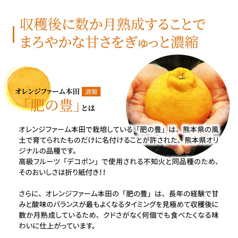【ふるさと納税】肥の豊 約 5kg 19 ～ 20玉 L ～ 3L サイズ混合 天草産 熊本限定品種 収穫後熟成 サイズ混合 瑞々しい果汁 不知火 オリジナル 柑橘 果物 フルーツ 食品 オレンジファーム本田 熊本県 天草市 お取り寄せ お取り寄せグルメ 送料無料 先行受付 サムネイル3