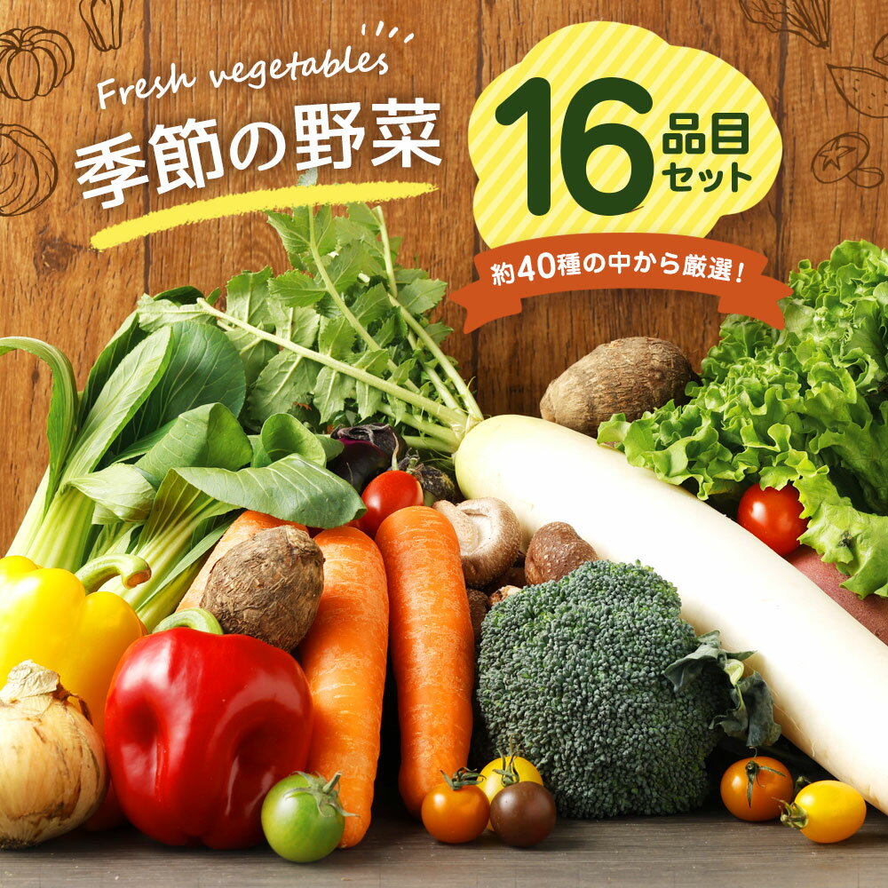 【ふるさと納税】季節の野菜 16品目 セット 野菜 やさい 詰め合わせ 旬の野菜 ランダム おまかせ 冷蔵 国産 春 旬 春野菜 送料無料 サムネイル2