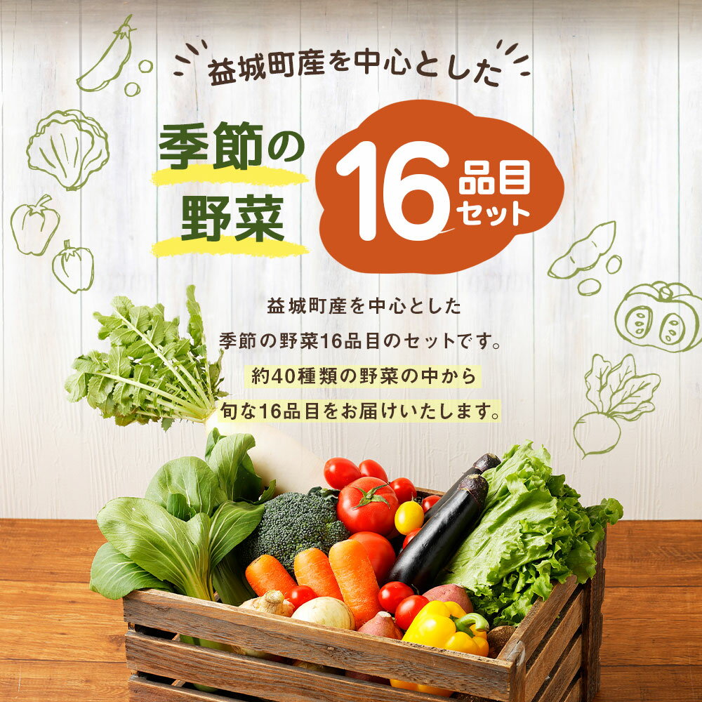 【ふるさと納税】季節の野菜 16品目 セット 野菜 やさい 詰め合わせ 旬の野菜 ランダム おまかせ 冷蔵 国産 春 旬 春野菜 送料無料 サムネイル3